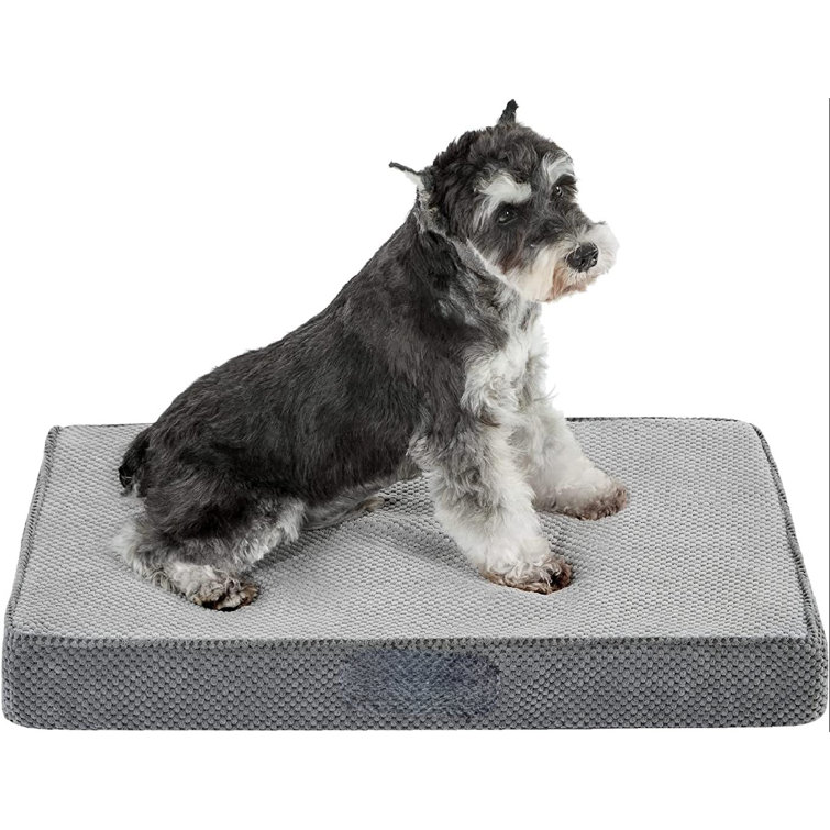 Can You Wash Dog Bed Foam